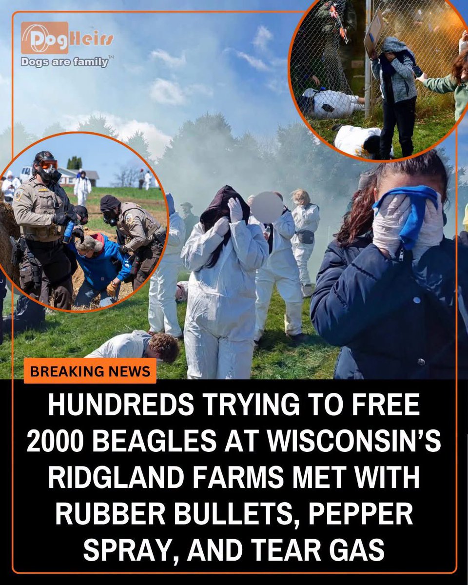 Tensions escalated in Wisconsin this weekend as a large group of animal rights activists gathered outside a beagle breeding facility—leading to a heavy police response and multiple arrests.

The Dane County Sheriff’s Office used tear gas, pepper spray, and rubber bullets in an