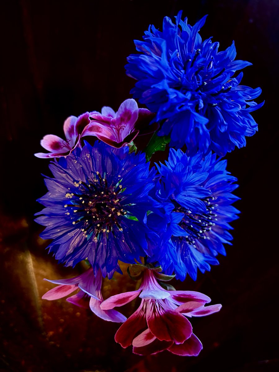 グラハム-トーマス tweet media