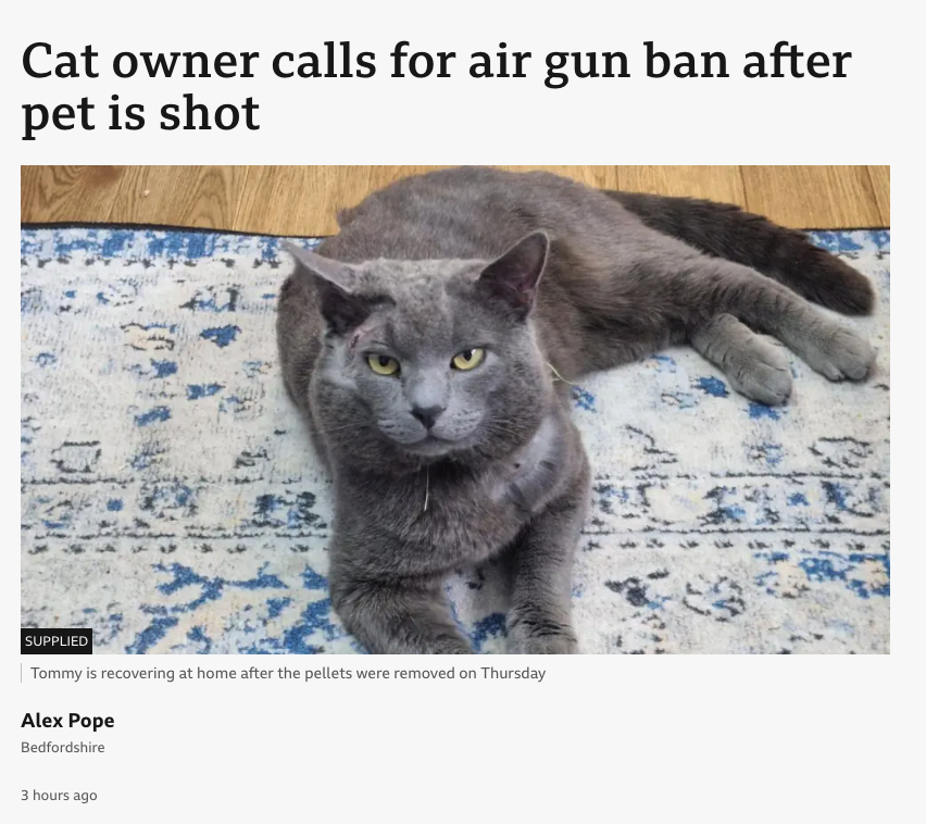 onlybondors tweet media