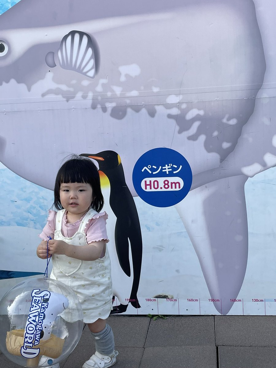 🌺マハロ✨USテック20 世界半導体インデックス一括投資✖️マネスキン🌼 tweet media