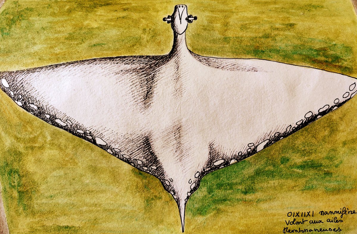 Yio32492419's tweet photo. @nenetalaska Bonjour, c'est un OIXIIXI un mammifère volant herbivore de grande taille.

"Sur UMMO nous ne connaissons pas de véritables oiseaux, mais il existe une grande variété de mammifères volants (...)" https://t.co/wXbF5DQUUi
