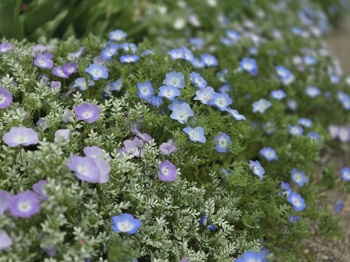 ふゆこ☃️ tweet media