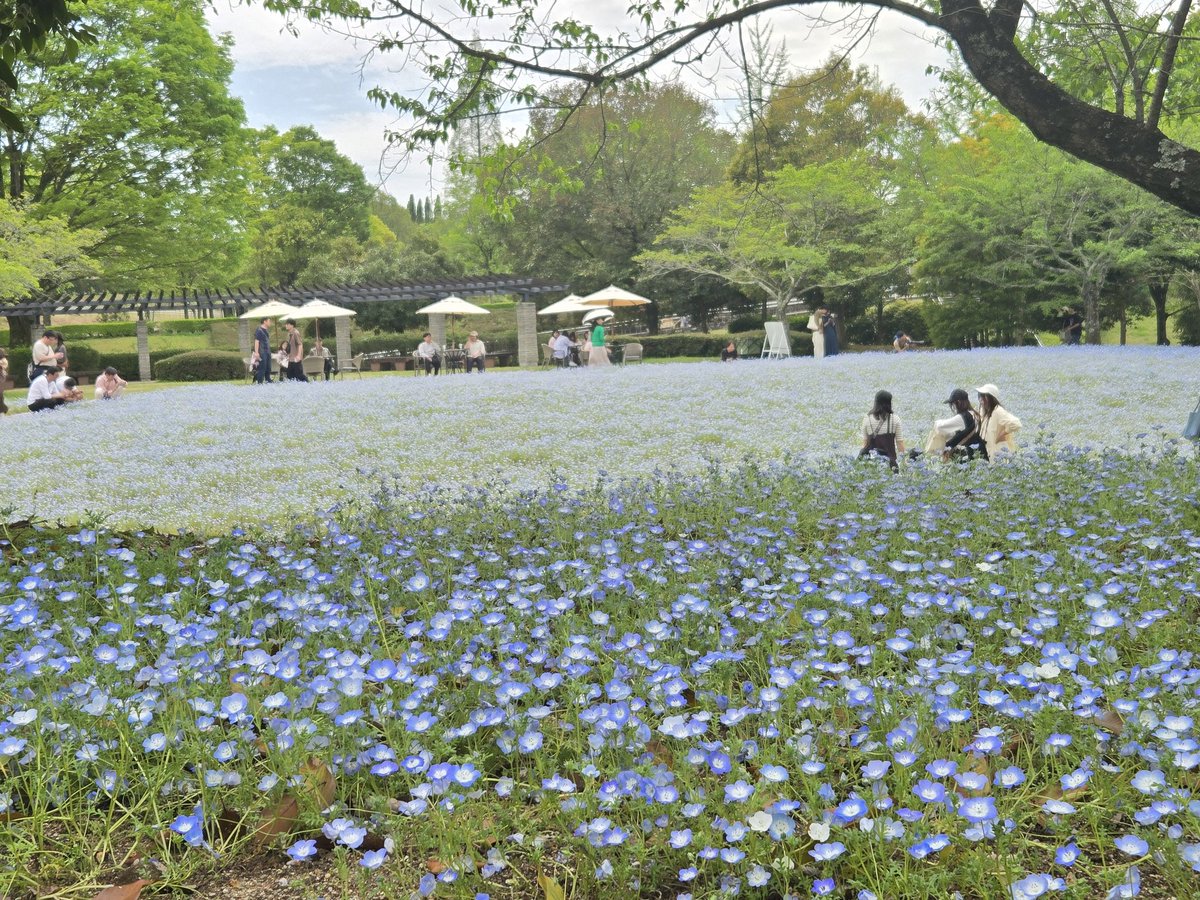 ふゆこ☃️ tweet media