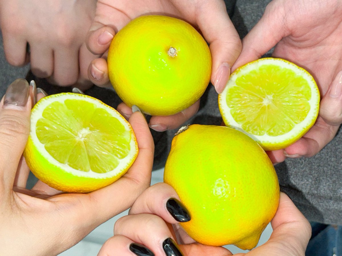 포리🍋 tweet media