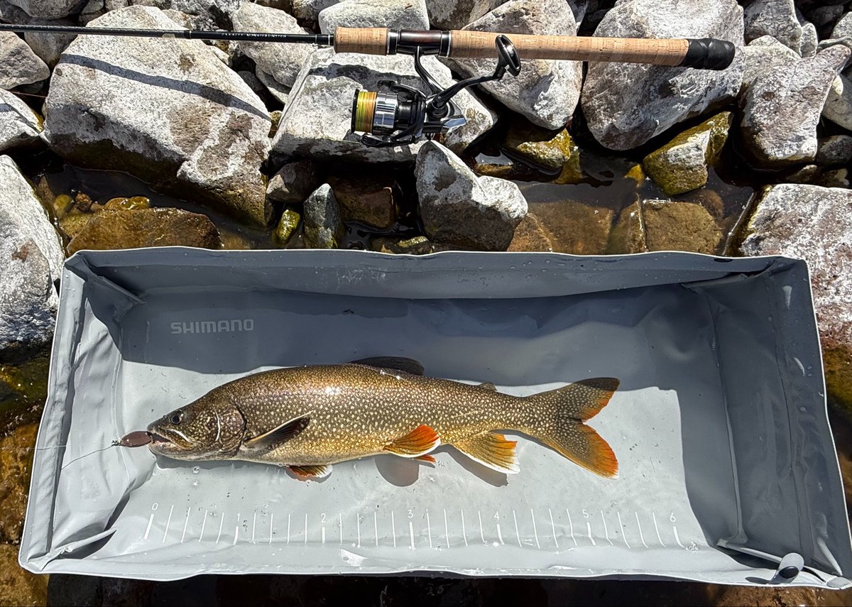 Dragon_sakamoto's tweet image. ビッグベイトで釣れ上機嫌で下山して家でゆっくりしていると「今から行きます」と連絡があり
次の日もまた登り今回も運良くレイクが来てくれました

#中禅寺湖
#レイクトラウト
#シマノ
#カーディフモンスターリミテッド
#コンパクトフィッシュプール
#チェリーベスパ
#トリックシャドウ
#パズデザイン