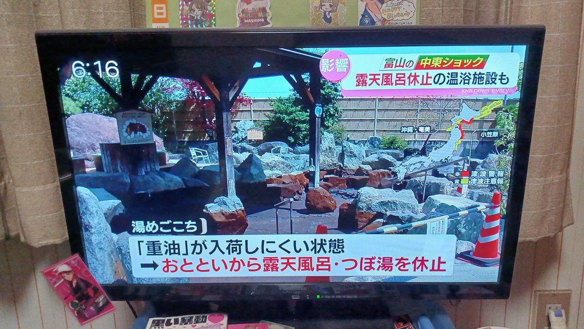 よーちゃんまるキュン(*´ω`*)🎵🌴🌈✨ tweet media