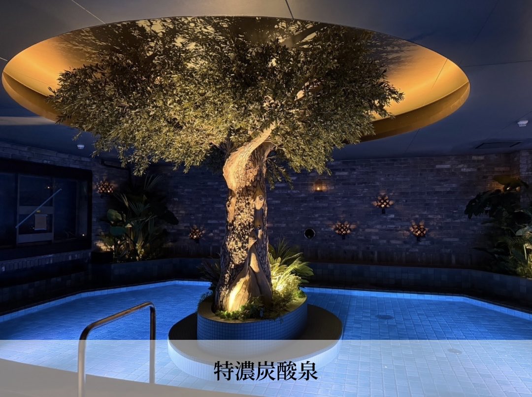 毎日サウナ東京 幕張店 tweet media