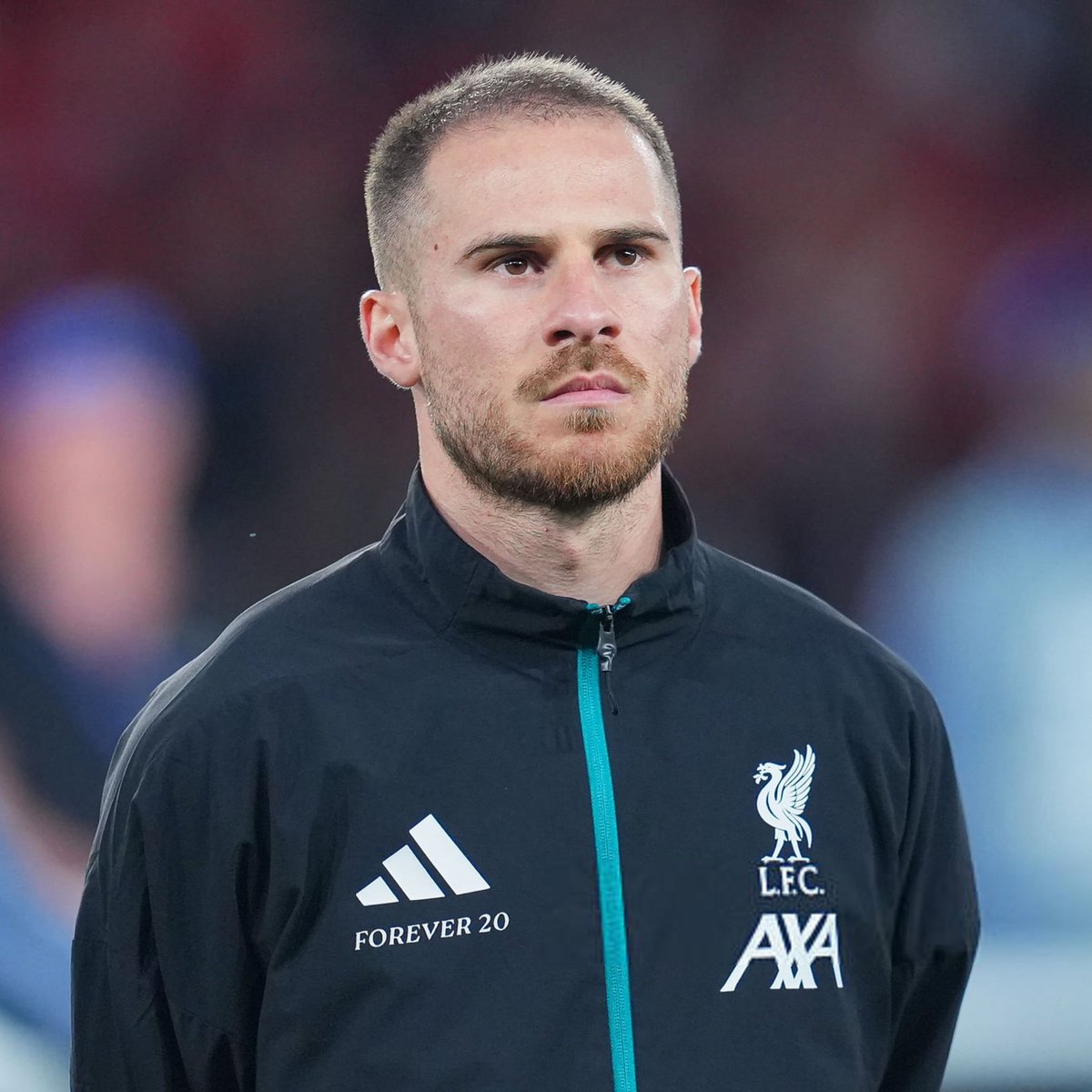 عالم ليفربول tweet media