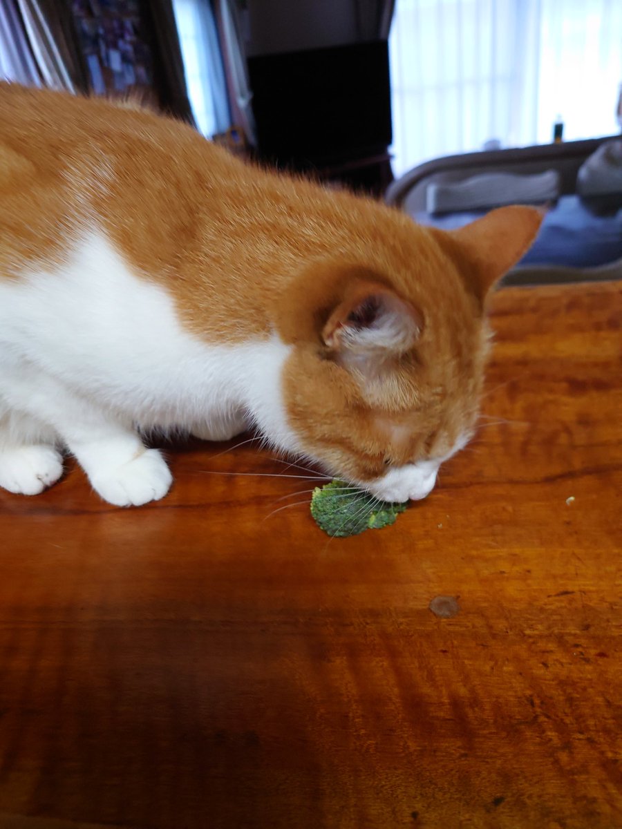 かりん tweet media