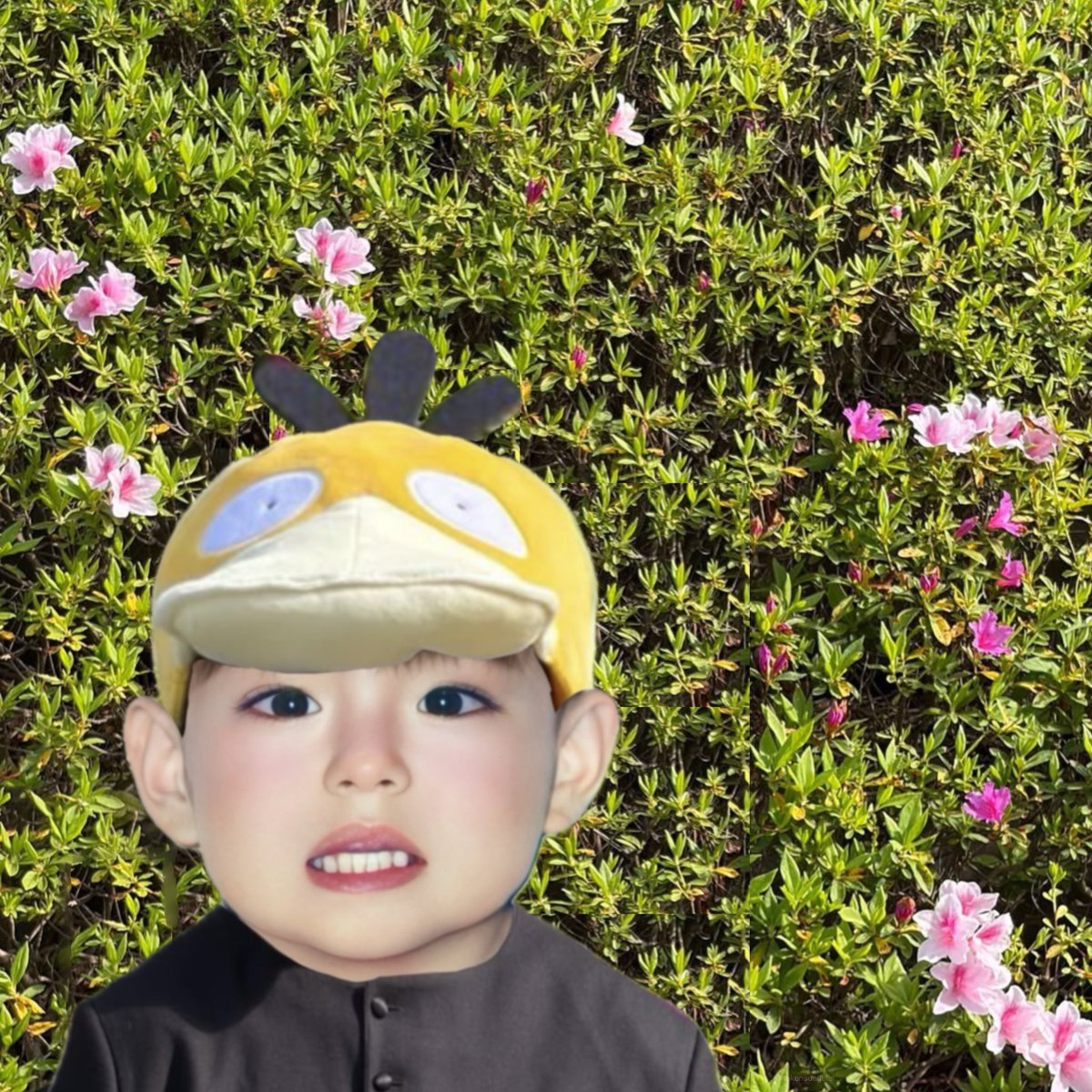 บูบู้ tweet media