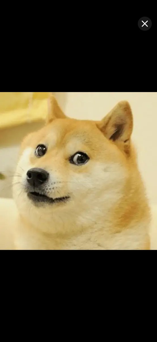 フィール tweet media