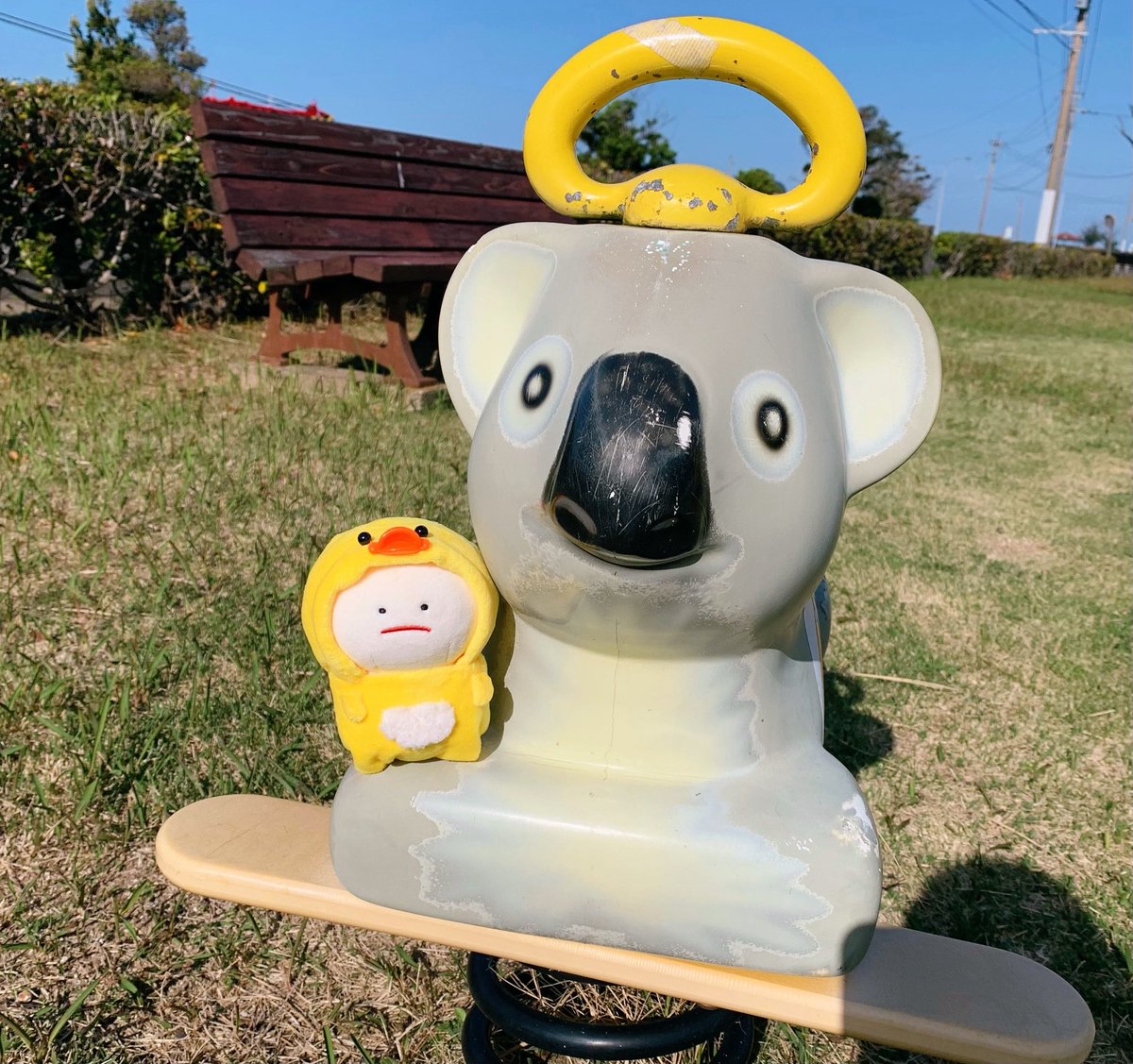 コアラさん🐨
のりたかったけど おちそうだったので
あきらめました🛝

#ぬいぐるみ #みじめちゃん  #ぬい撮り #ぬいぐるみの時間 #ぬい活