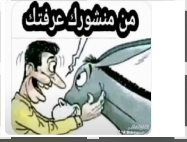 القرني tweet media