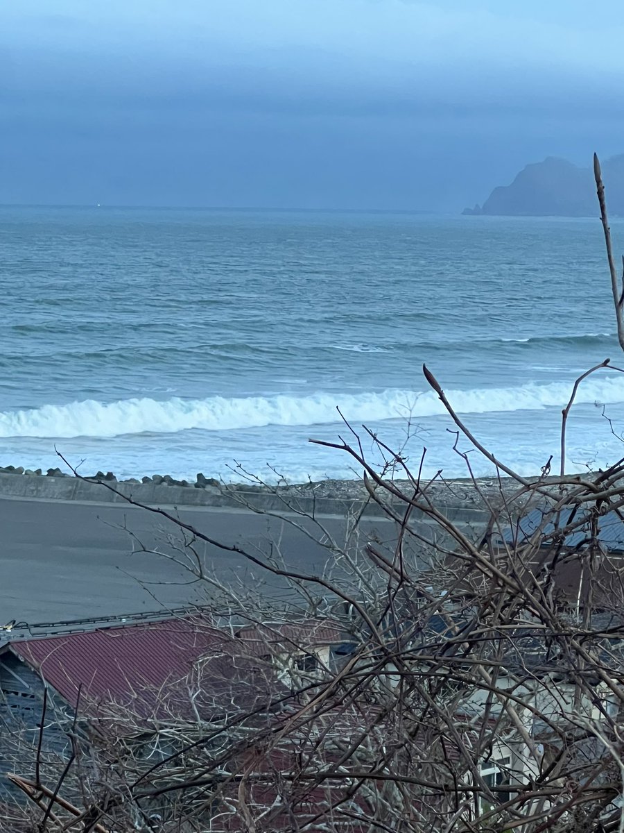 こうへい tweet media