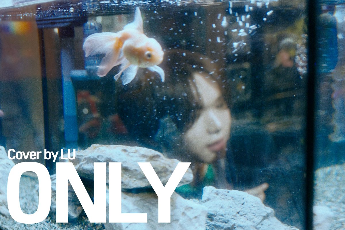 Lu_257official's tweet image. [🎥]

[COVER] LU - ONLY (원곡: 이하이)

🔗 youtu.be/Ch-4L8kmtYg

#LU #루