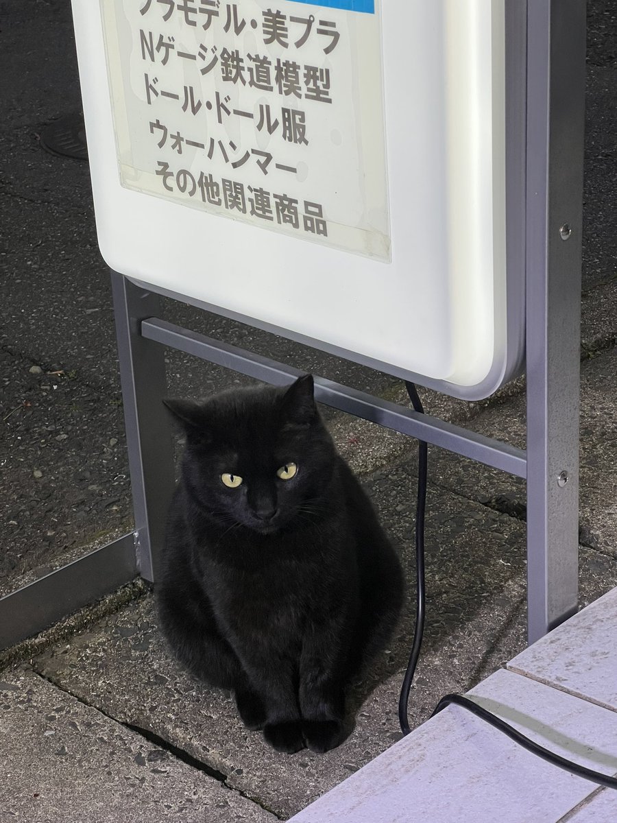 まつり堂模型店（山口県下関市） tweet media