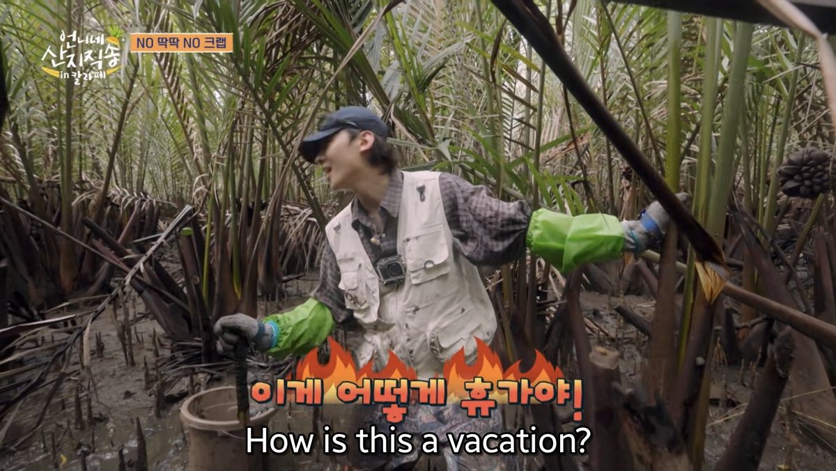 daheeverse's tweet image. The toughest environment they had filmed for a labor, yeah it's Philippines 🤣

Catching alimangos 🦀  in your first day in mangroves somewhere in Bohol is surely a survival more than a job lol
#FreshOffTheSeaInCalape
#언니네산지직송in칼라페