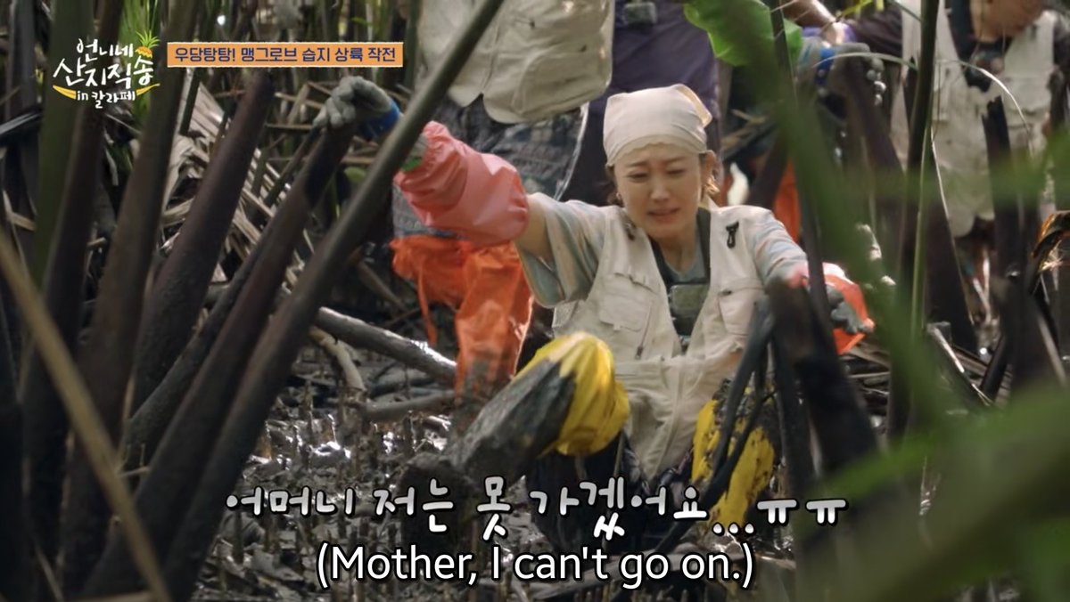 daheeverse's tweet image. The toughest environment they had filmed for a labor, yeah it's Philippines 🤣

Catching alimangos 🦀  in your first day in mangroves somewhere in Bohol is surely a survival more than a job lol
#FreshOffTheSeaInCalape
#언니네산지직송in칼라페