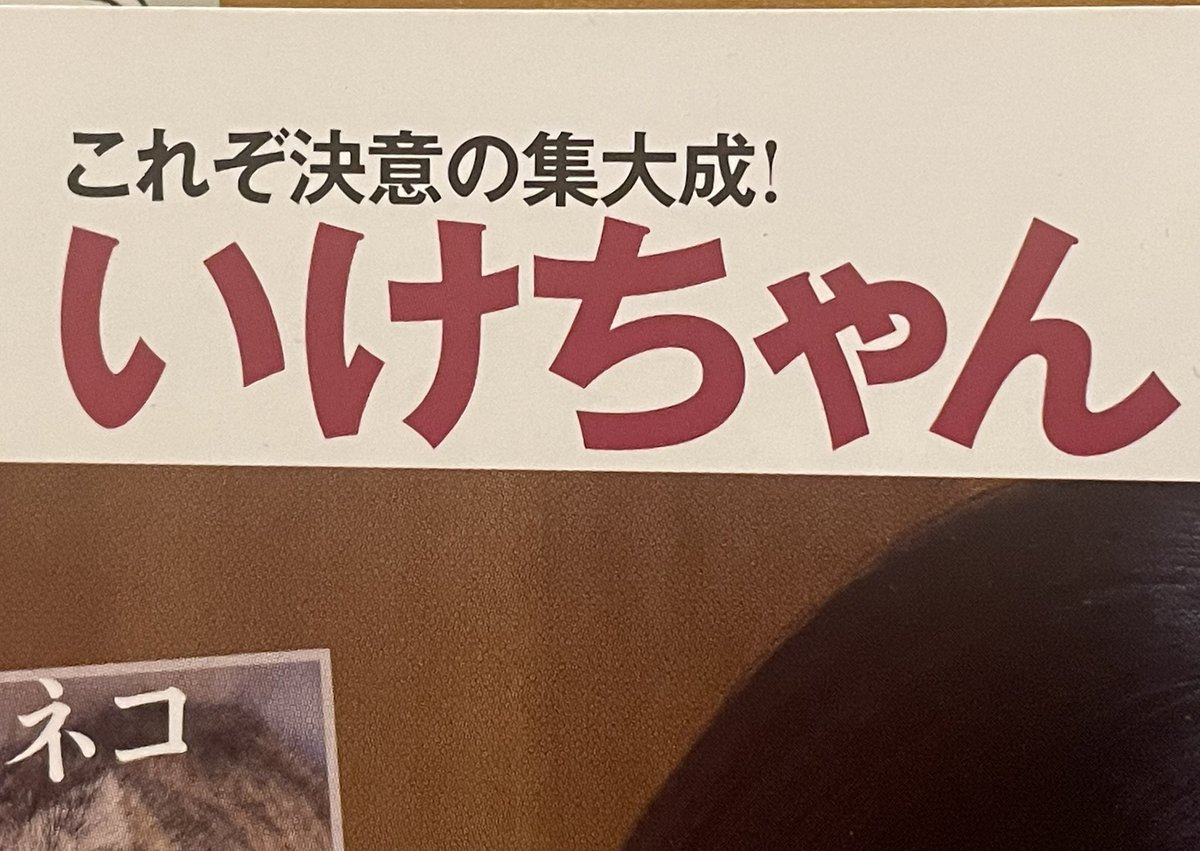 siataisa02's tweet image. FRYDAY購入。いけちゃんのラストグラビア掲載らしいので。

#FRYDAY
#いけちゃん
@ikechan0920
@kyomupoker