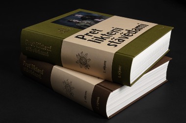 Lato Lapsa tweet media