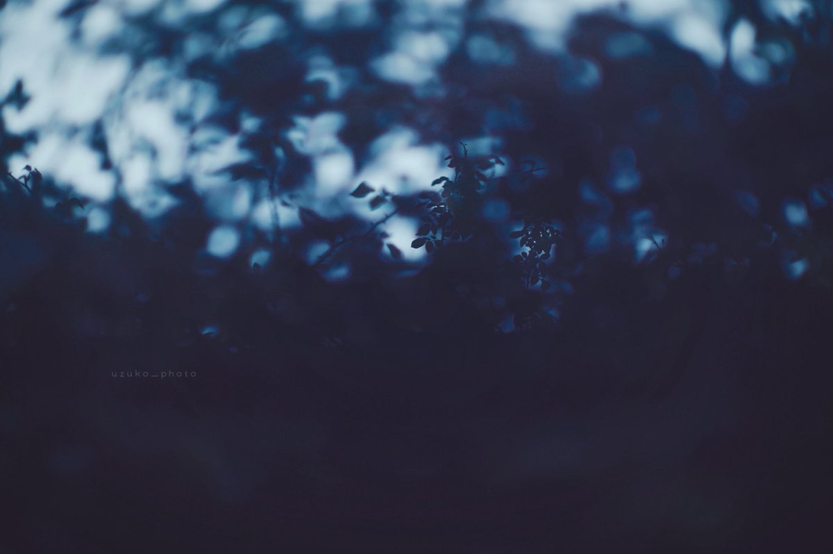 うずこ/𝚄𝚣𝚞𝚔𝚘 tweet media