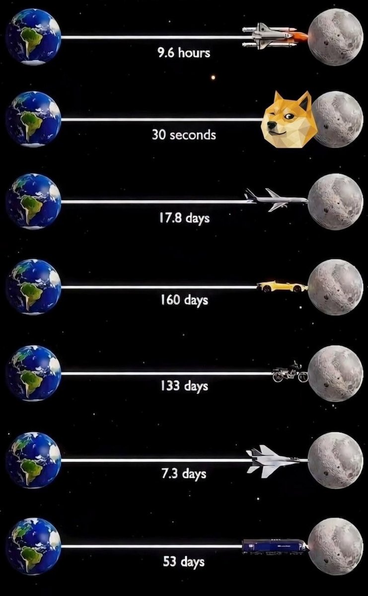 DogeDotMeme's tweet image. No one is faster than the $DOGE to go #ToTheMoon 🌕

#DogeDay #Dogecoin #Fast #Rockets