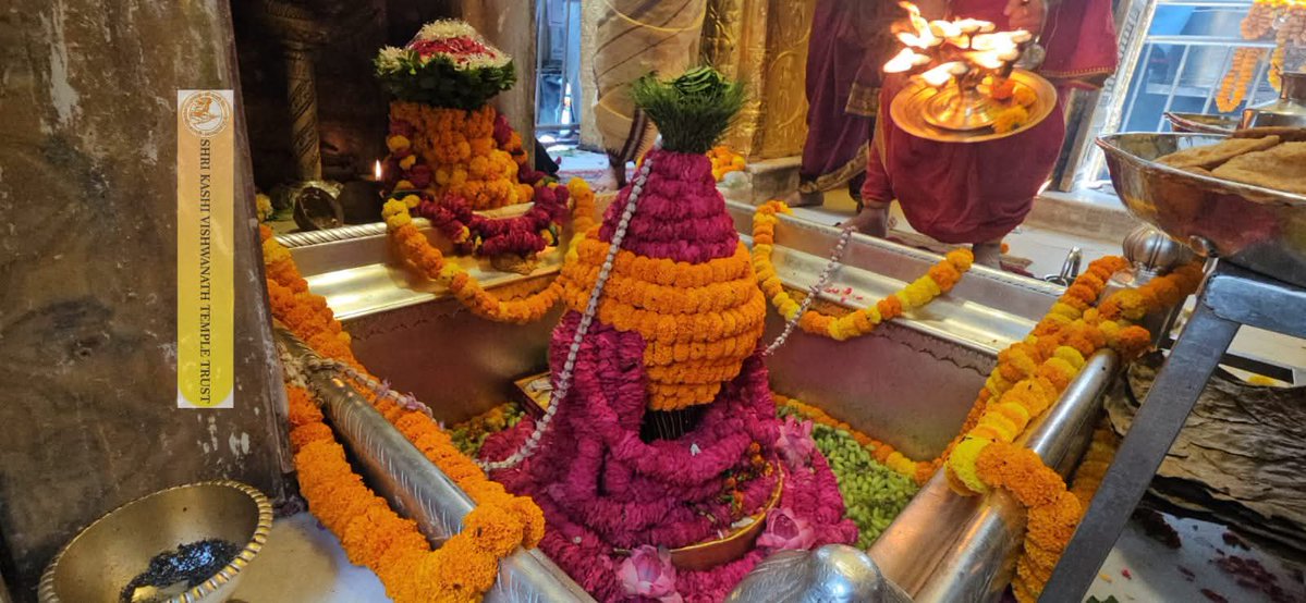 सुधाकर सिंह राजपूत tweet media