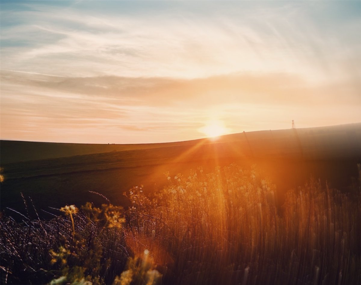 Breaking More Waves tweet media