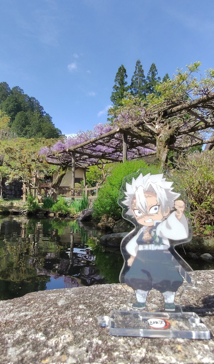 エミュー tweet media