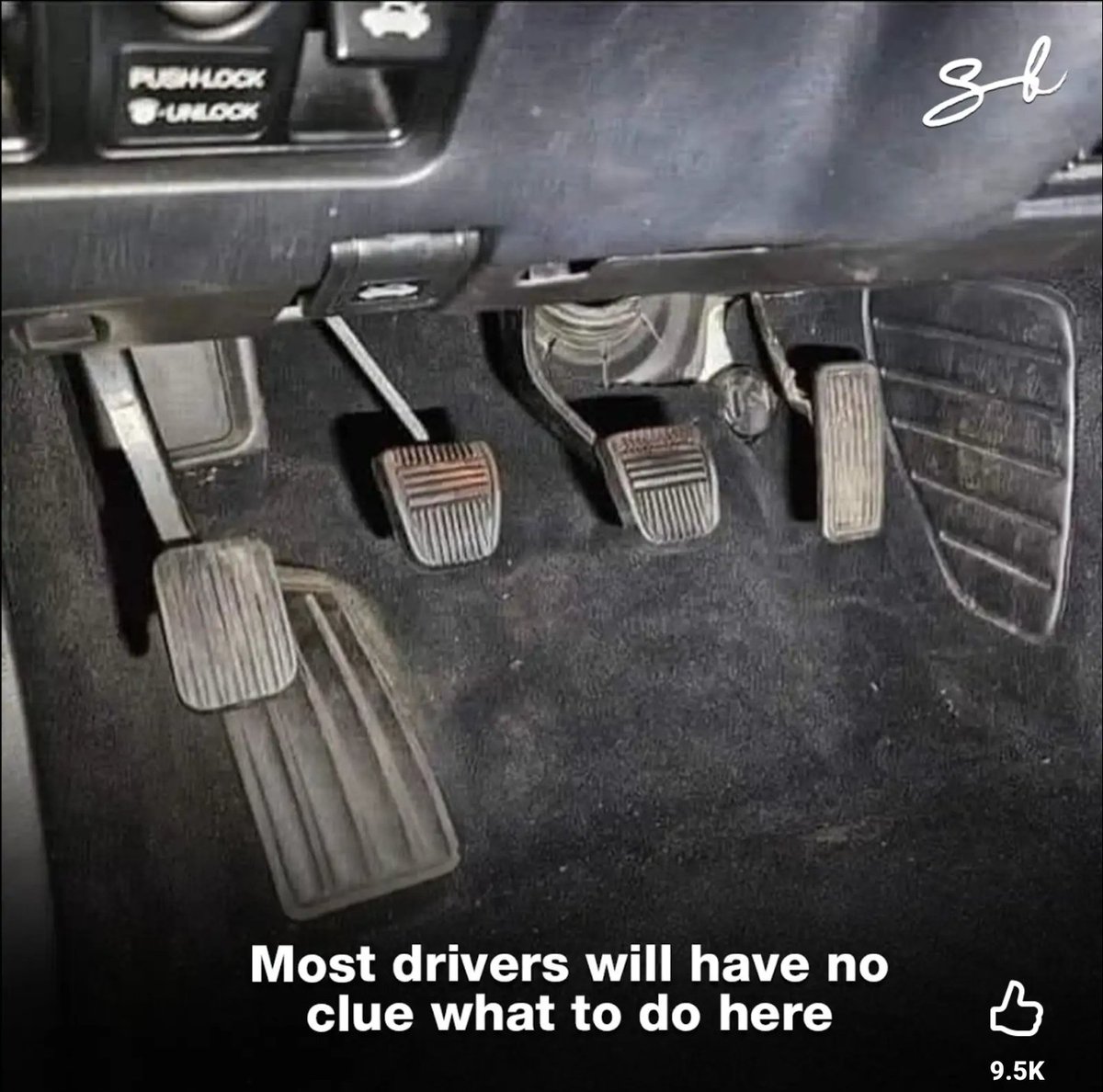 MR GREEN tweet media