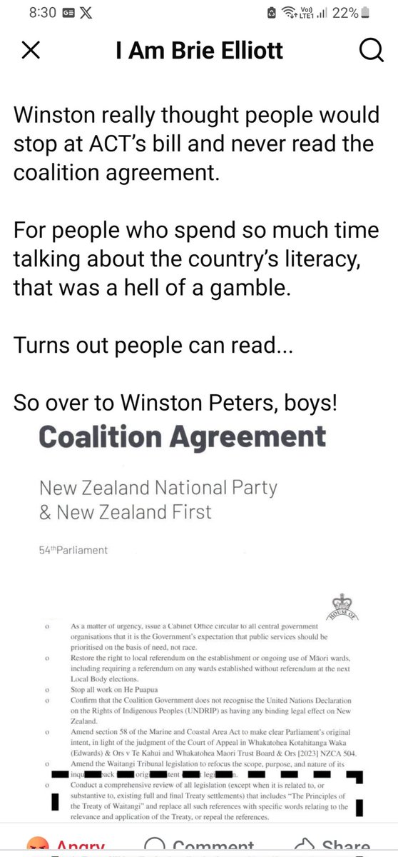 GreenGran2's tweet photo. @miguelnz @Mountain_Tui @mindycmindy That something could be this , it seems as if Golds mith is doing Winston's dirty work https://t.co/FZahfLPFbe