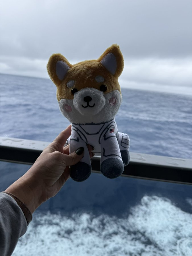 ASTEROID🐶🚀 tweet media