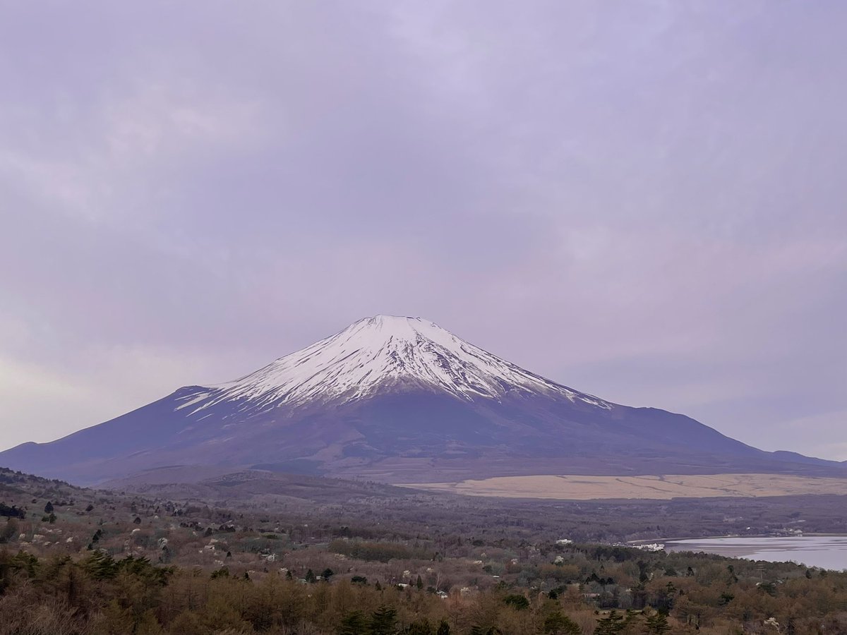 ヤーリン tweet media