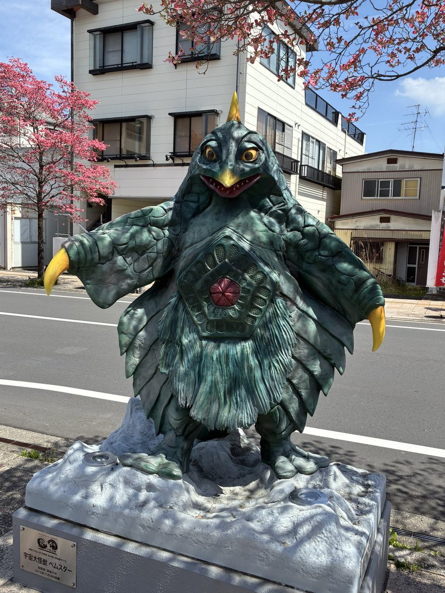 マリノ tweet media