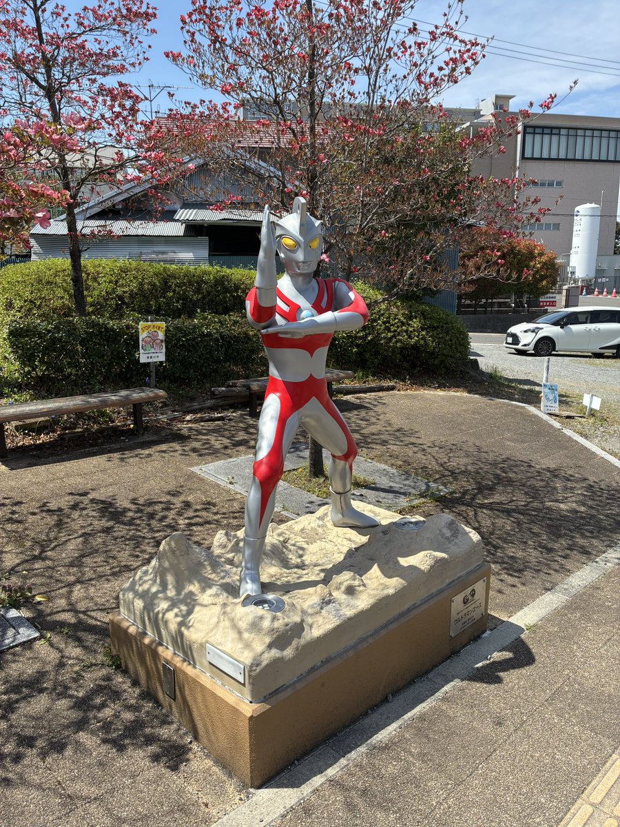 マリノ tweet media