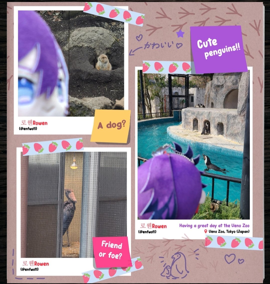 I'm here~! I brought him to the Ueno zoo~ There are so many good arts so plz check it! Happy birthday my big bird Hakka💜
이번 핫카 생일 프로젝트 기념! 우에노 동물원에 다녀왔습니다~! 덕분에 저도 처음 가봤네요ㅋㅋ 생일 축하해 우리 메탈까마귀💜
#HakkaBIRBday2026 #Hakkitos