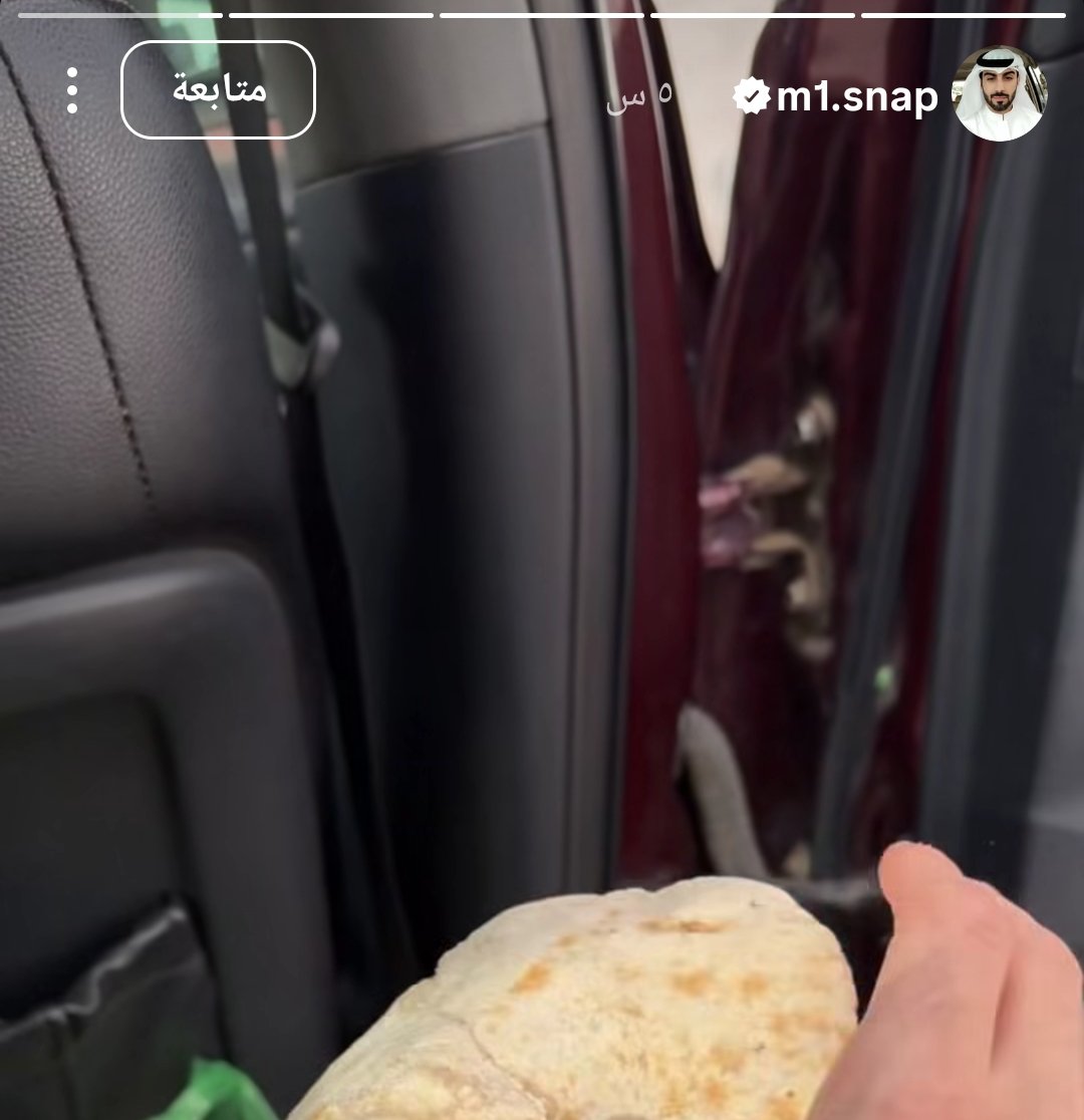 Kaizen🍀 tweet media