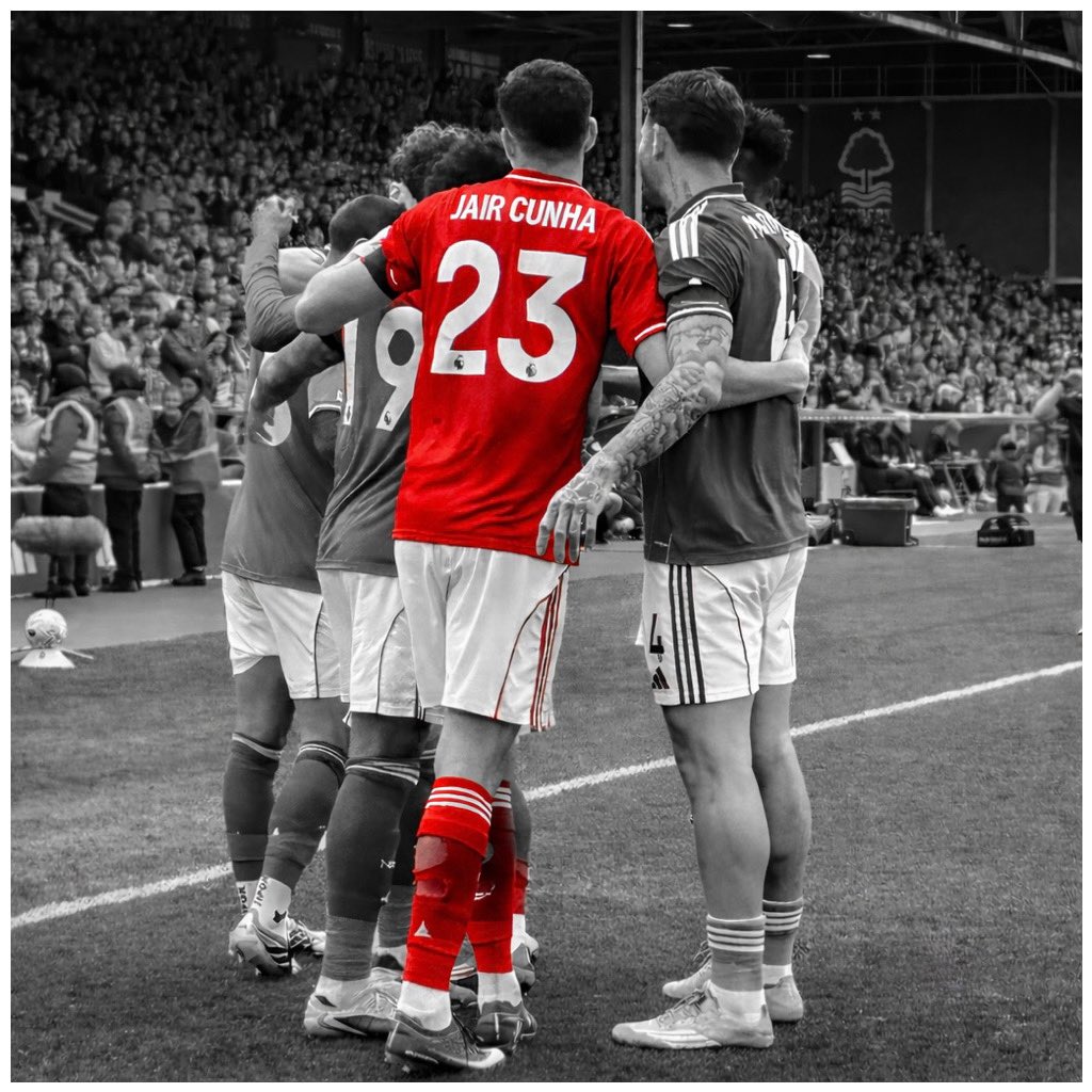 Garibaldi on Camera tweet media