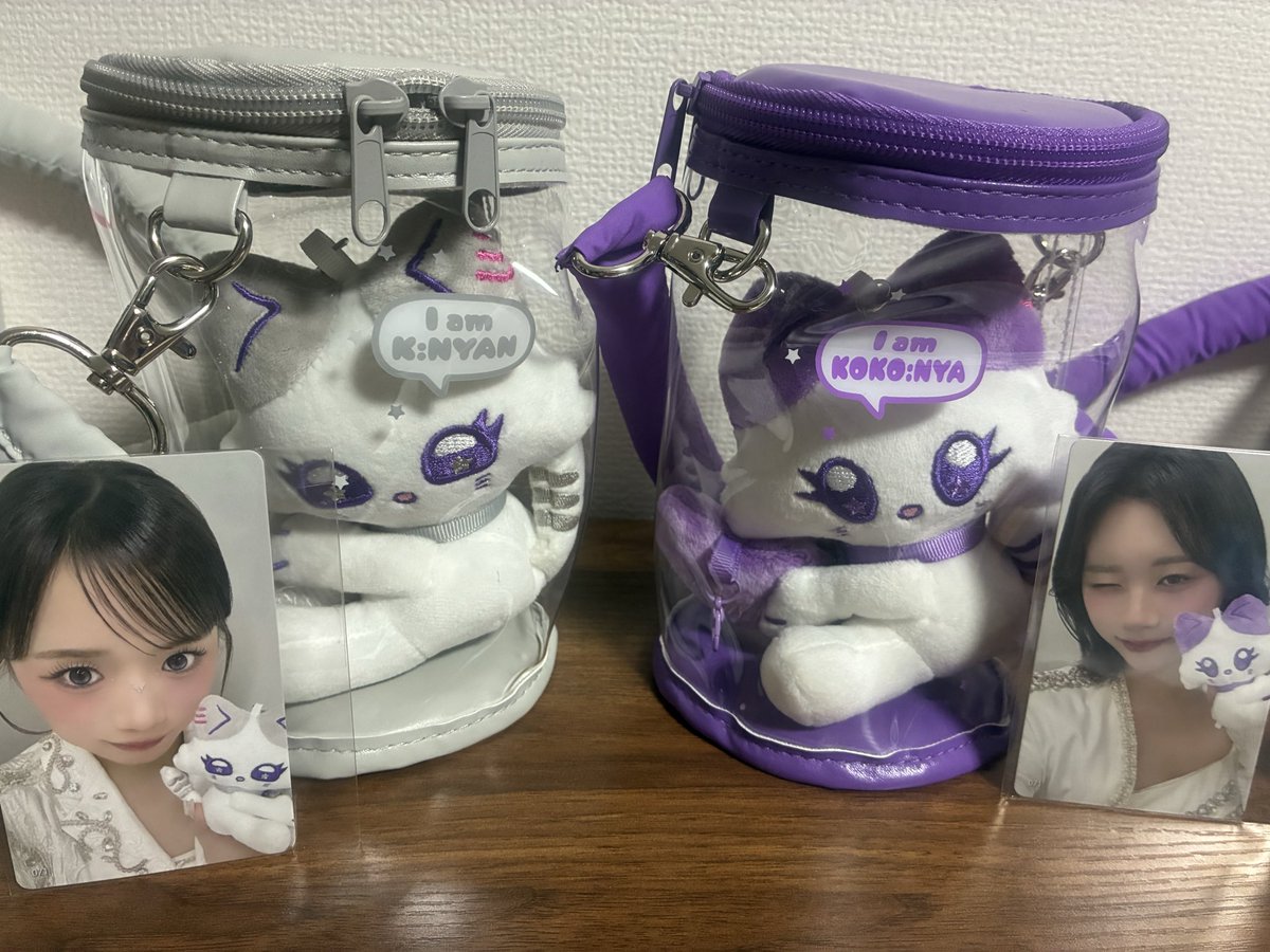 ココナッツ🥥 tweet media