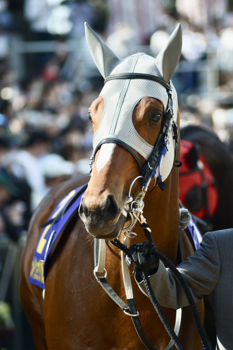 舞夢🐎🎀 tweet media