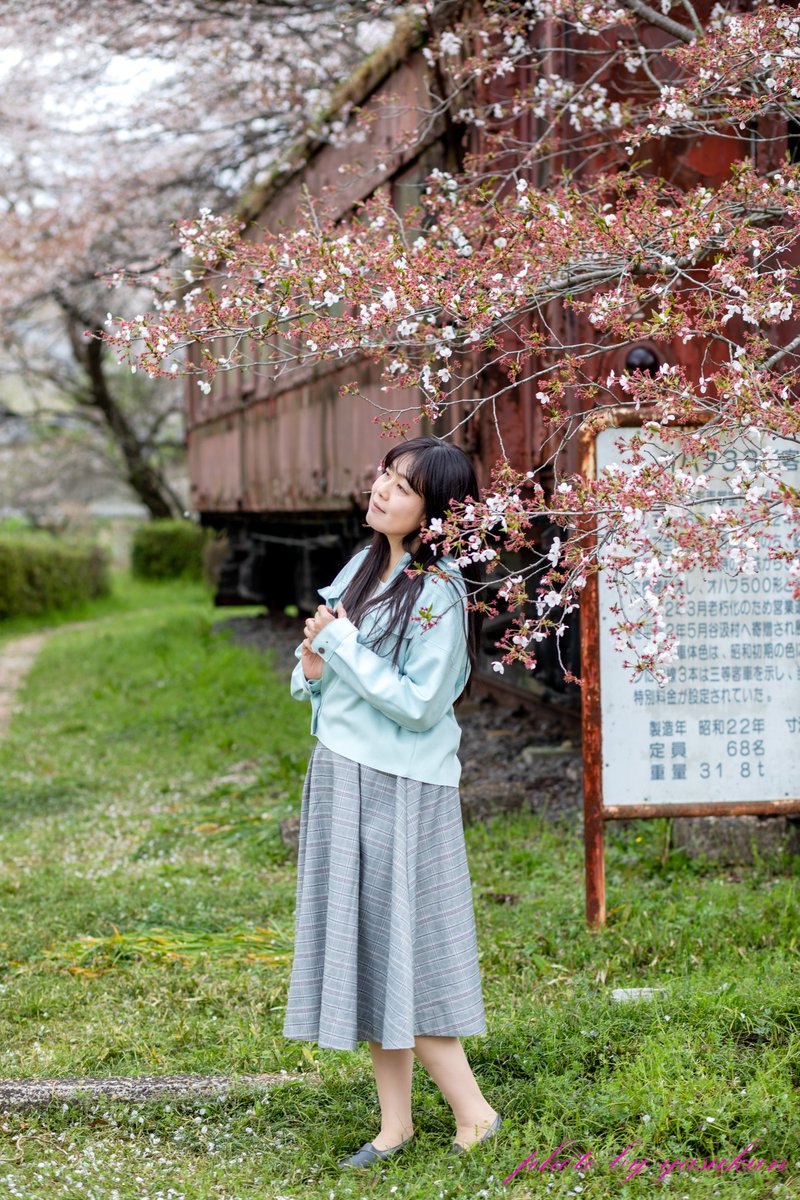 yisihara1's tweet image. アルさん　
「ちょっと遅かったかな」　
#桜　
#ポートレート　#portrait