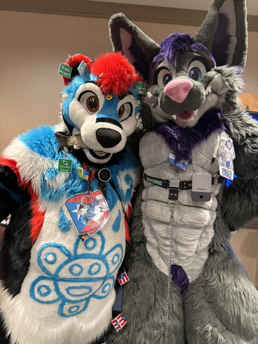 Hugz_N_Snugz's tweet photo. Yeah it’s the start of another workweek—but it’s also #MoreFurLessMonday!😎

Tag anyone whom I missed at #TFF2026!

🐺: @MoreFurLess 
📸: @WanderingWarlok https://t.co/OvTNNBN054