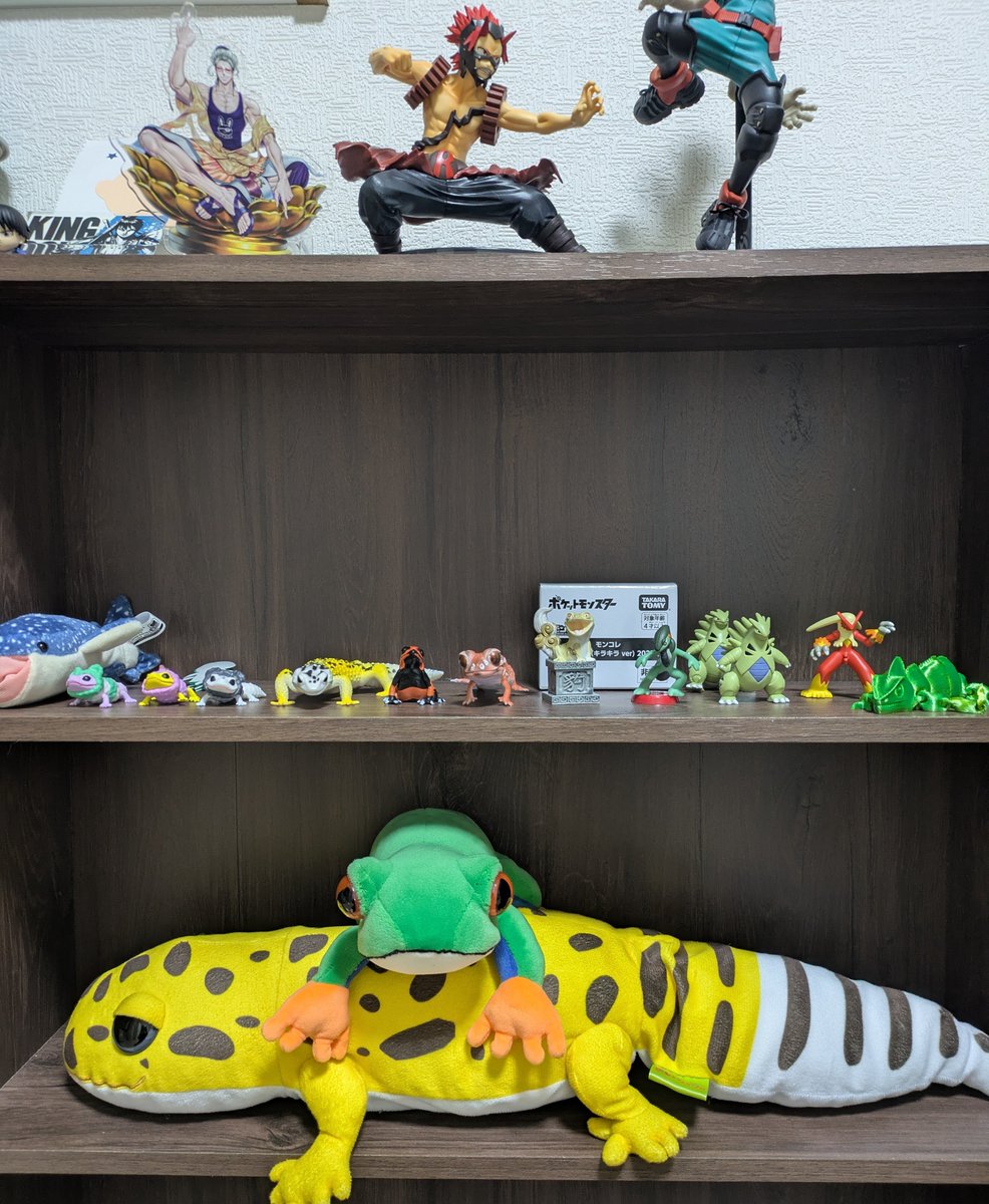 ちょっと増えてきた🦎