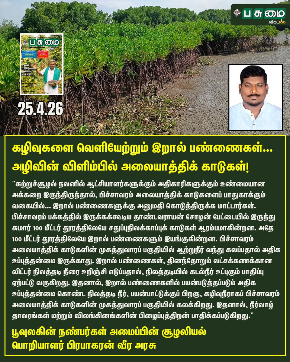 PasumaiVikatan's tweet image. Full Article Link - vikatan.com/agriculture/pi…

கழிவுகளை வெளியேற்றும் இறால் பண்ணைகள்... அழிவின் விளிம்பில் அலையாத்திக் காடுகள்!
கண்டுகொள்ளாத அரசு நிர்வாகம்!

#PasumaiVikatan | #Magazine