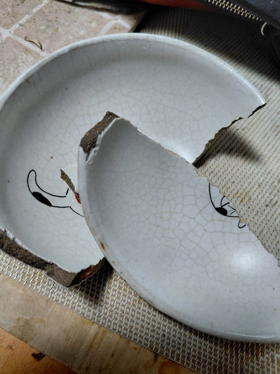 舘川海琴鳥 tweet media