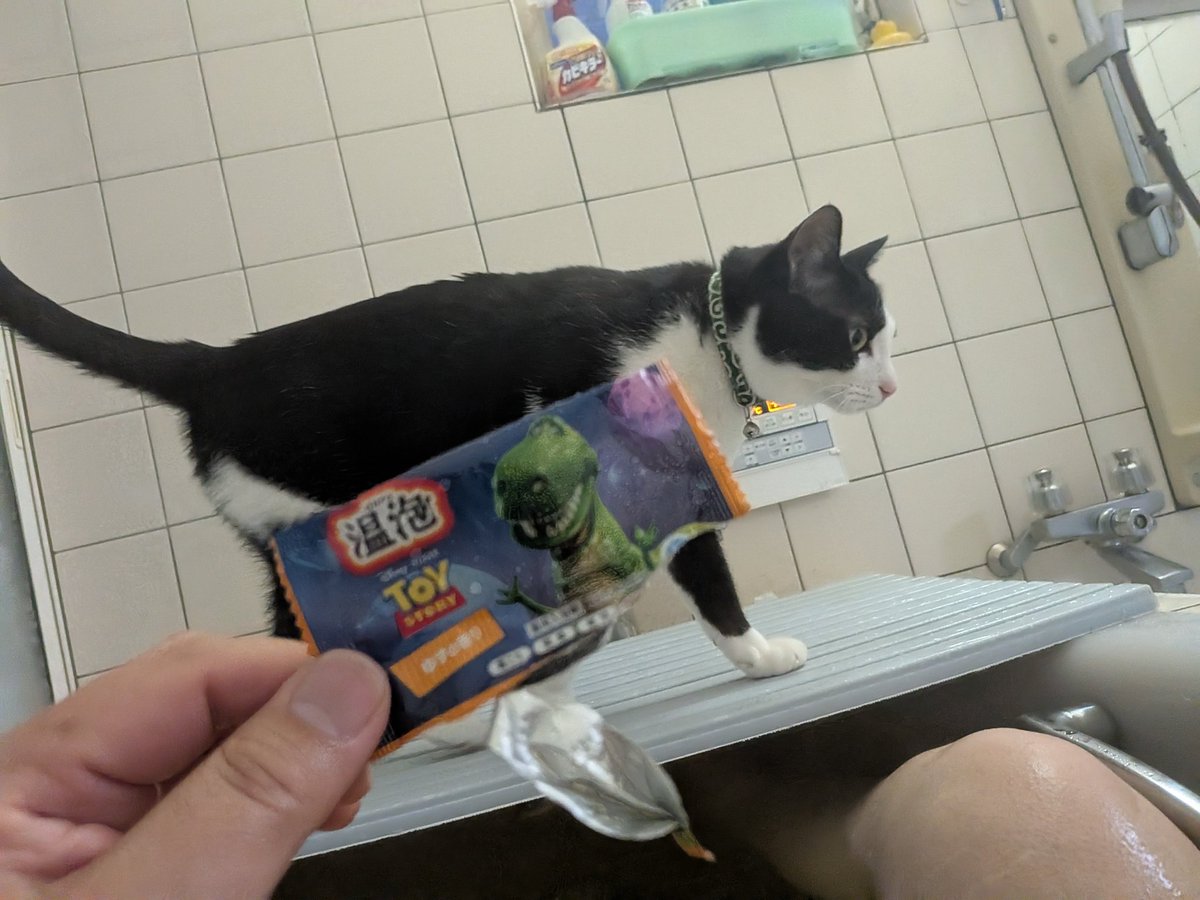 アコ吉 tweet media