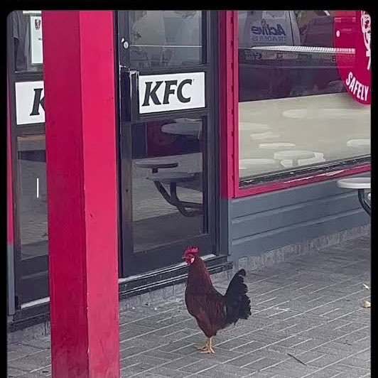 جس دھج سے کوئی مقتل میں گیا