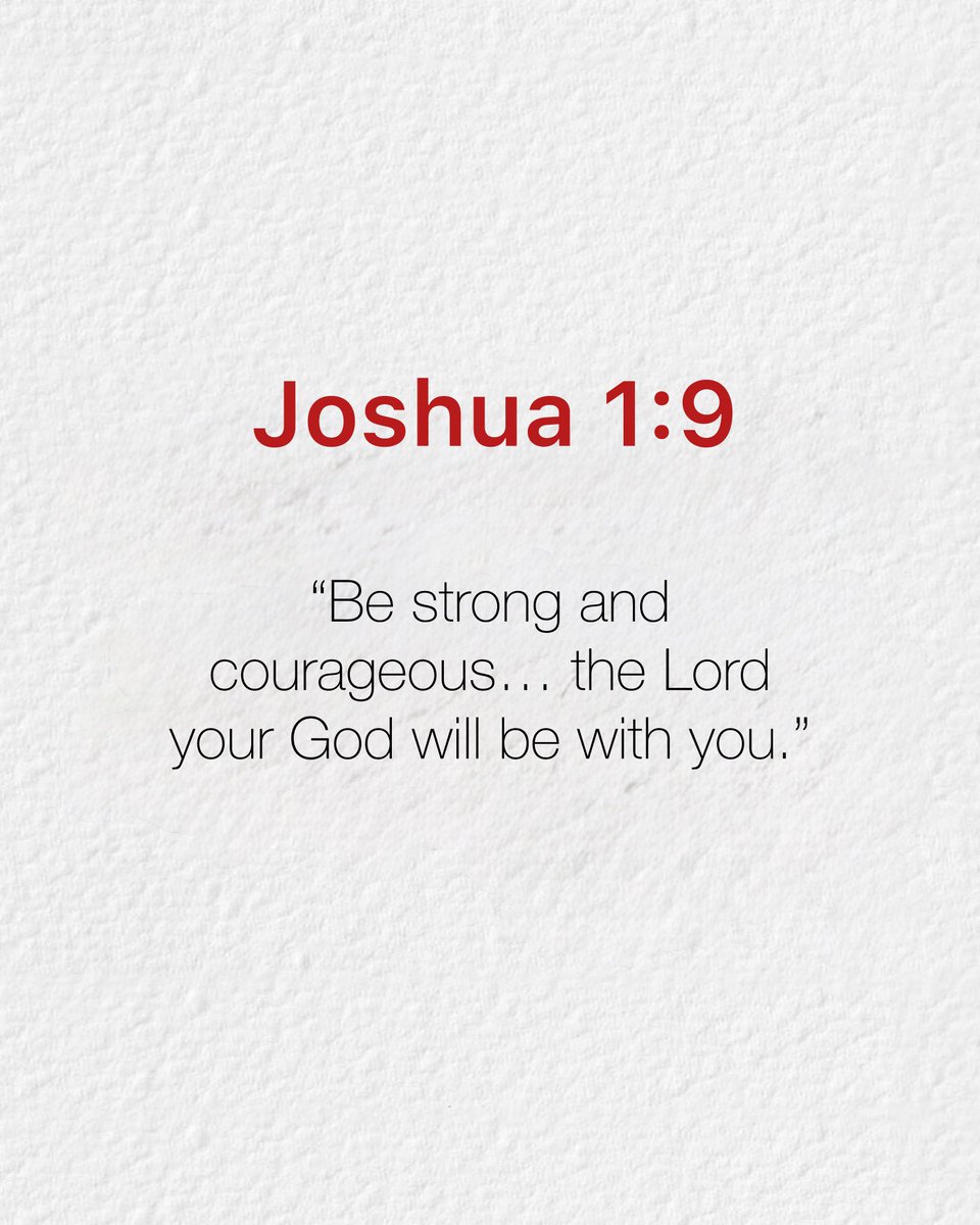 Holy Bible tweet media