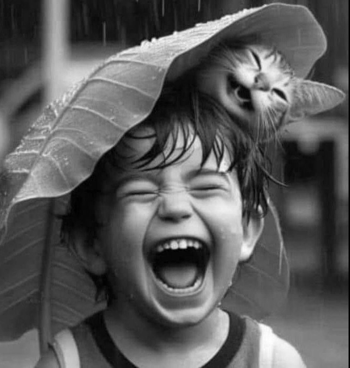 السَّارِيةَ🇸🇦 tweet media