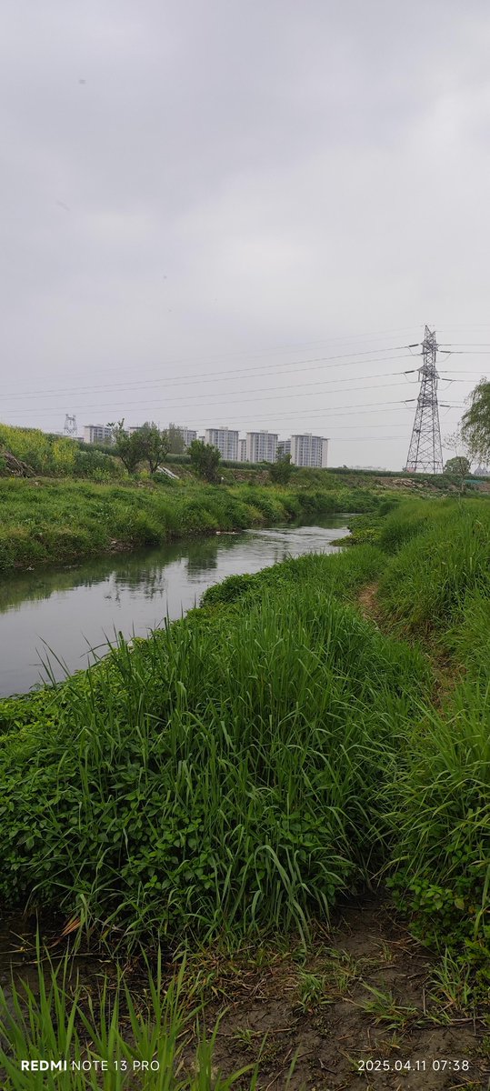 Ronan Dewar tweet media